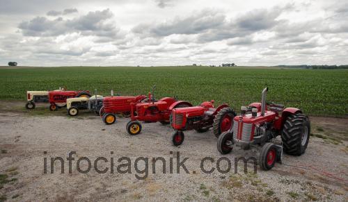 Massey Ferguson 1930 karta techniczna i opinia