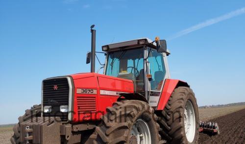 Massey Ferguson 3670 karta techniczna i opinia
