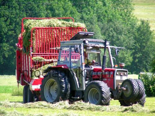 Massey Ferguson 382 opinia i karta techniczna 