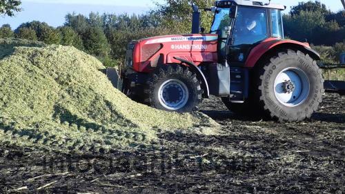 Massey Ferguson 8290 opinia i karta techniczna 