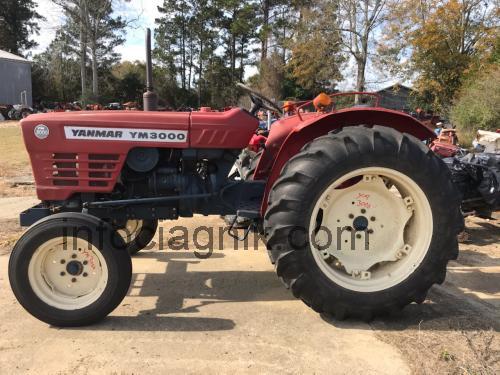 Yanmar YM3000 opinie i specyfikacja